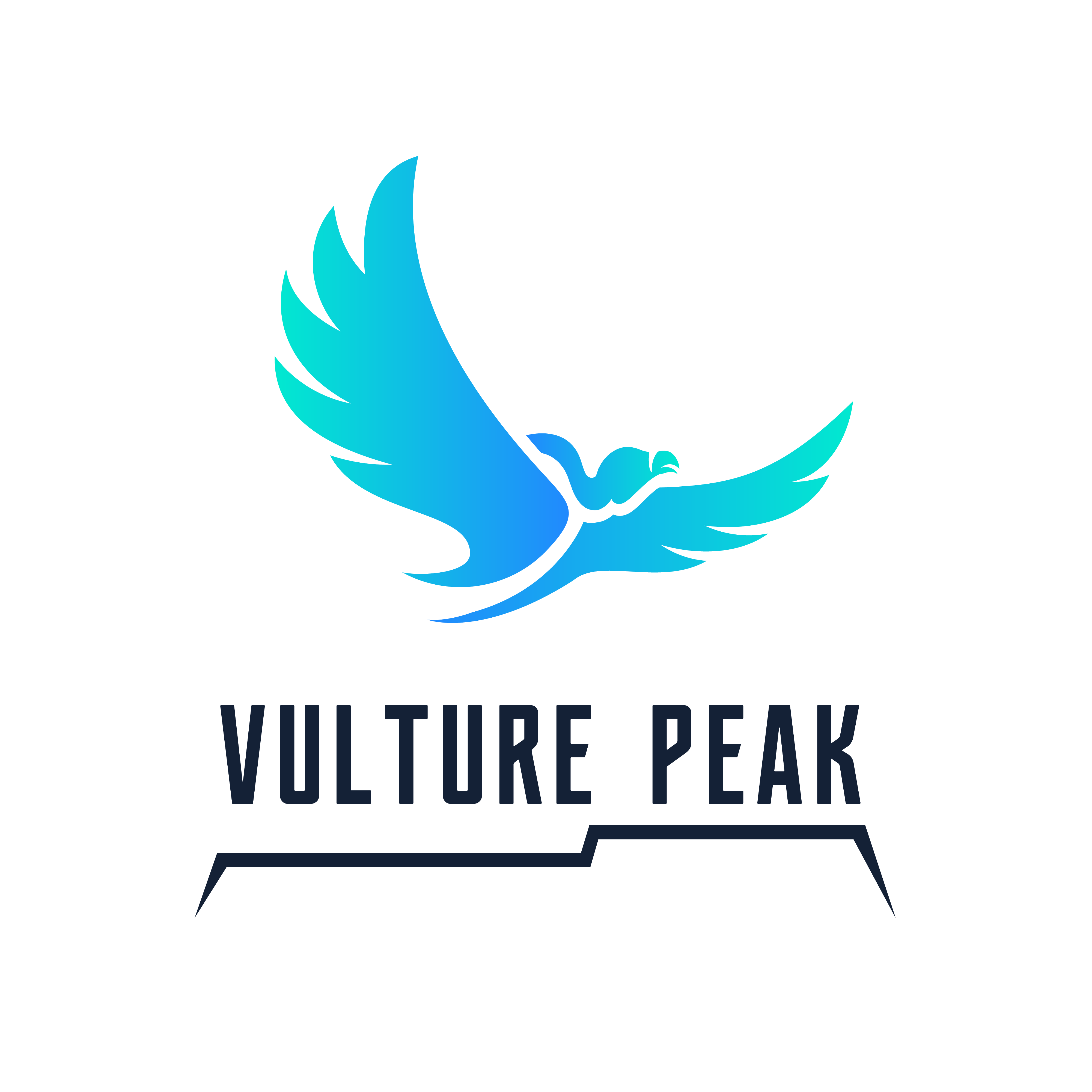Vulture PeakLOGO