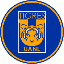 Tigres Fan TokenLOGO