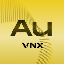 VNX GoldLOGO