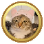 catwifhatLOGO