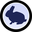 RabbitCoinLOGO
