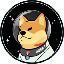 Satellite Doge-1 MissionLOGO