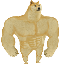 Swole DogeLOGO