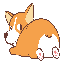 CorgiCoinLOGO