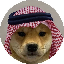 dogwifsaudihatLOGO